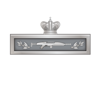 Combat Infantry Badge